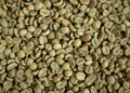 fresh green coffee beans